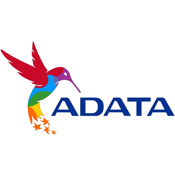 ADATA Memória DDR5 16GB 4800Mhz DIMM CL40 (AD5U480016G-S)