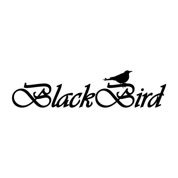 BLACKBIRD Drón kompatibilis akkumulátor (BH1474)