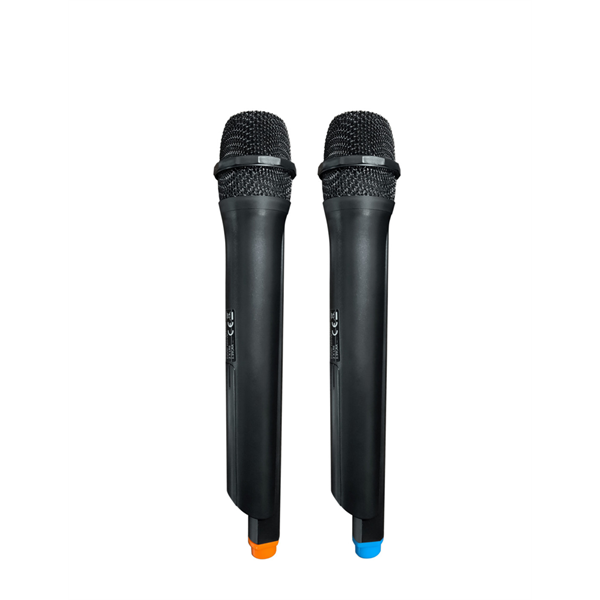 BLAUPUNKT PB06DB Bluetooth party hangszóró, 2 db mikrofon,  RMS,TWS,FM,AUX, 500W, Fekete (RTVBLAS015) (PB06DB)