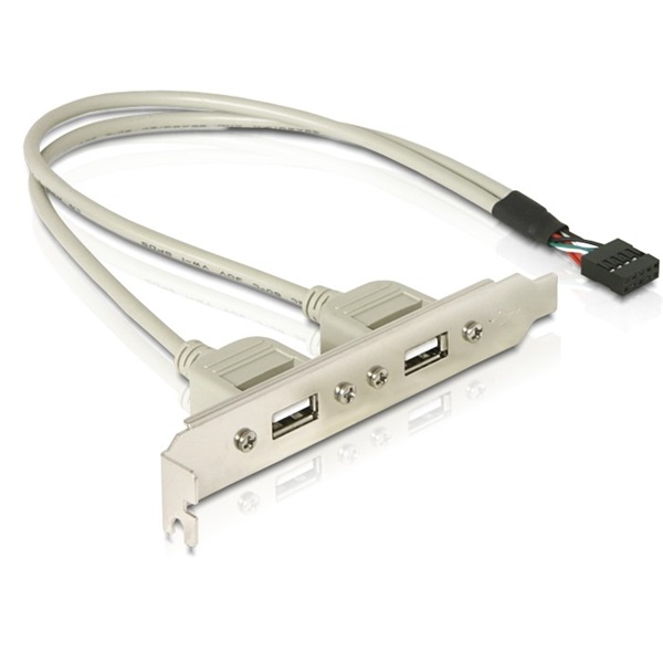 DELOCK Hátlapi kivezetés > 2x USB 2.0 Type-A (71000)