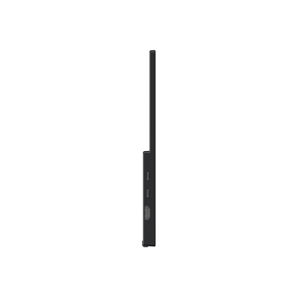 MSI Monitor Business PRO MP165 E6, 15,6" FHD 1920x1080, IPS, 250 cd/m2, 16:9, 60 Hz, 4ms, 2x USB-C, miniHDMI, Black (9S6-3PE50M-001)
