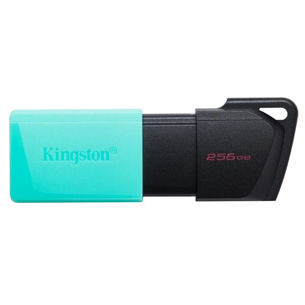 USB Flash Ram 256GB Kingston DTXM USB 3.2 (DTXM/256GB)