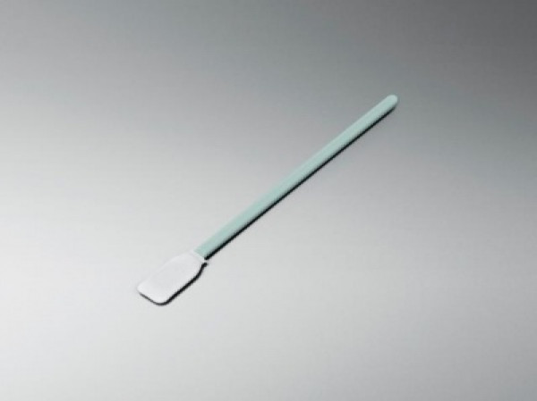 Epson S090013 Cleaning Stick (C13S090013)